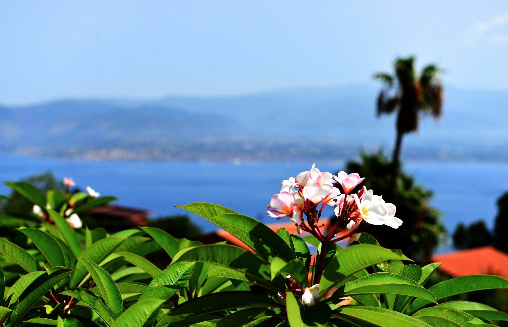 Villa Scilla E Cariddi Μεσίνα Εξωτερικό φωτογραφία